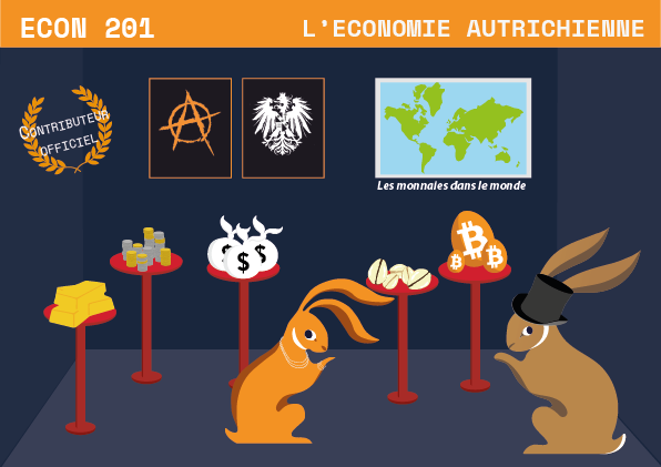 Formation ECON 201 - Pack contributeur